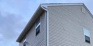 Best Siding Painting and Refinishing  in Leadville North, CO